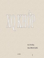 bÀI GIẢNG XQUANG VỀ KHỚP.PPT