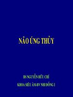 Siêu âm não ũng thủy ở thai nhi