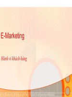 E marketing Hành vi khách hàng