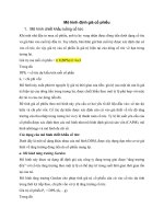 Tài liệu mô hình định giá cổ phiếu