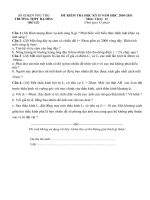 Đề - HD chấm thi học kỳ 2 môn Vật lý 11 (2010-2011)