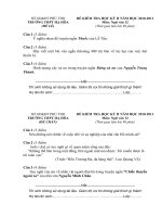 Đề thi học kỳ 2 môn văn 12 (2010-2011)