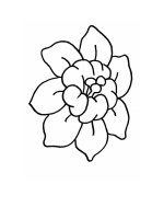 30 tranh tô màu mẫu giáo