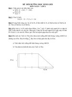 ĐỀ  bồi DƯỠNG học SINH GIỎI môn TOÁN lớp 5