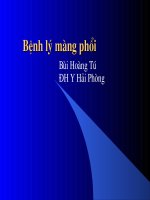 x quang bệnh lý màng phổi