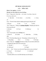 de thi HSG Tieng Viet lop 2