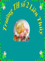 LT&C: Ôn tập về dấu tuần 28-29