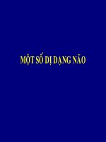 Siêu âm một số dị dạng não