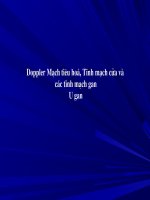 Siêu âm Doppler mạch máu tiêu hóa