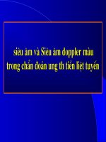 Siêu âm Doppler trong chẩn đoán ung thư tiền liệt