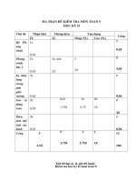 de kiem tra toan hk II nam 10-11( dai- tp)