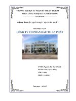 BÁO CÁO THỰC TẬP SẢN XUẤT NGÀNH MAY TẠI CÔNG TY CỔ PHẦN ĐẦU TƯ AN PHÁT