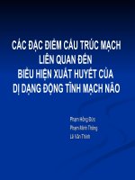 CÁC ĐẶC ĐIỂM CẤU TRÚC MẠCH LIÊN QUAN ĐẾN BIỂU HIỆN XUẤT HUYẾT DỊ DẠNG ĐỘNG TĨNH MẠCH NÃO
