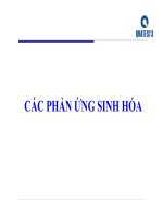 Các phản ứng sinh hóa củ vi sinh vật
