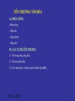 Hình ảnh tổn thương tuyến vú dạng vôi hóa