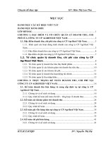 Báo cáo chuyên đề về kế toán doanh thu, chi phí, kết quả kinh doanh tại công ty CP Agrifeed Việt Nam