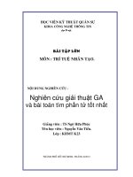 Giải thuật ga và bài toán tìm phần tử tốt nhất