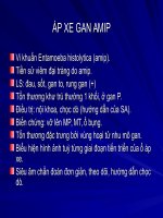 siêu âm ÁP XE GAN AMIP