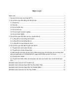 SAI SÓT TRONG KIỂM TOÁN BÁO CÁO TÀI CHÍNH