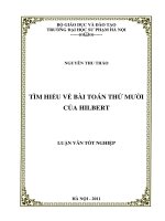 TÌM HIỂU VỀ BÀI TOÁN THỨ MƯỜI CỦA HILBERT