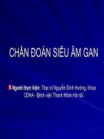 CHẨN ĐOÁN SIÊU ÂM GAN