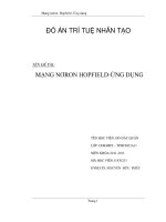 đồ án thực tập mạng noron hopfield và ứng dụng