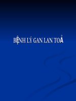 BỆNH LÝ GAN LAN TOẢ