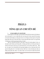 Chuyên đề Ra quyết định trên cơ sở chi phí