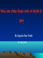 Siêu âm chẩn đoán một số bệnh lý gan