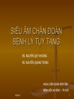 SIÊU ÂM CHẨN ĐOÁN BỆNH LÝ TỤY TẠNG.PPT