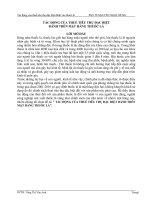 Tiểu luận Tác động của thuế tiêu thụ đặc biệt đánh vào thuốc lá