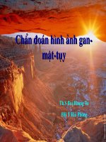 Chẩn đoán hình ảnh siêu âm gan mật tụy