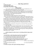 Đề thi HKII Môn Tiếng Việt