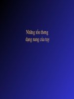 Siêu âm những tổn thương dạng nang của tụy