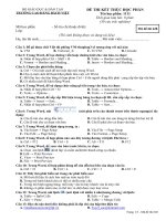 Đề thi HKII tin Học 10 Đề số 6