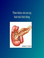 Thăm khám siêu âm tụy hình thái bình thường