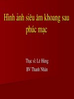 Hình ảnh siêu âm khoang sau phúc mạc.PPT