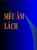 Siêu âm lách bài giảng full