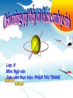 Chương trình địa phương phần TV