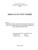 Giải pháp nâng cao hiệu quả sử dụng tài sản tại Công ty  Cổ Phần đầu tư và kinh doanh thiết bị công nghiệp Phương Dũng