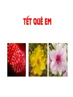 Ném trúng đích thẳng đứng