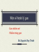 Siêu âm một số bệnh lý gan