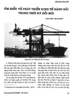 Tìm hiểu về phát triển kinh tế hàng hải trong thời kỳ đổi mới