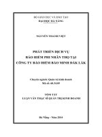 Phát triển dịch vụ bảo hiểm phi nhân thọ tại Công ty Bảo hiểm Bảo Minh Đắk Lắk
