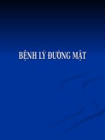 Siêu âm bệnh lý đường mật 2