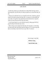 Xây dựng mô hình khai phá văn bản tiếng Việt