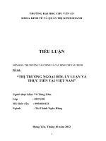 THỊ TRƯỜNG NGOẠI HỐI, LÝ LUẬN VÀ THỰC TIỄN TẠI VIỆT NAM