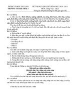 ĐỀ VÀ HD CHẤM HSG TV5 10 - 11