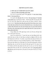 Thảo luận môn chuyên đề kế toán công cụ tài chính: Hợp đồng quyền chọn