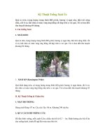 kỹ thuật trồng cây xoài úc